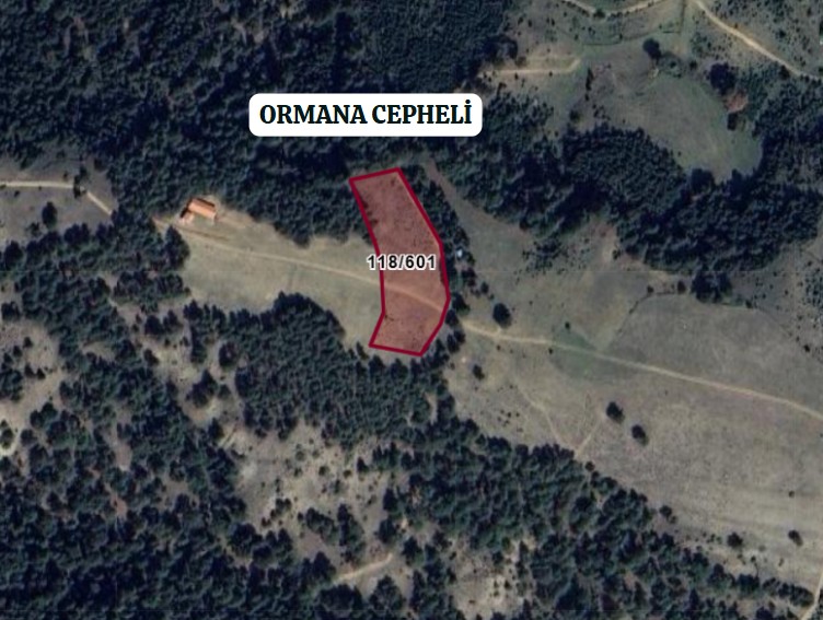 ÇORUM KARGI GÜNEY KÖYÜ’NDE 4.908 M² TARLA SATILIKTIR - ÇORUM KARGI fotoğraf 6
